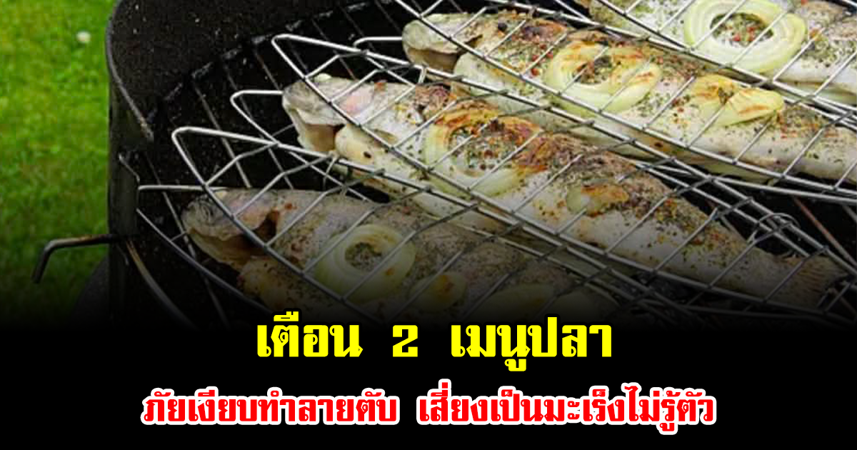 เตือน 2 เมนูปลา ภัยเงียบทำลายตับ เสี่ยงเป็นมะเร็งไม่รู้ตัว หลายคนชอบกิน