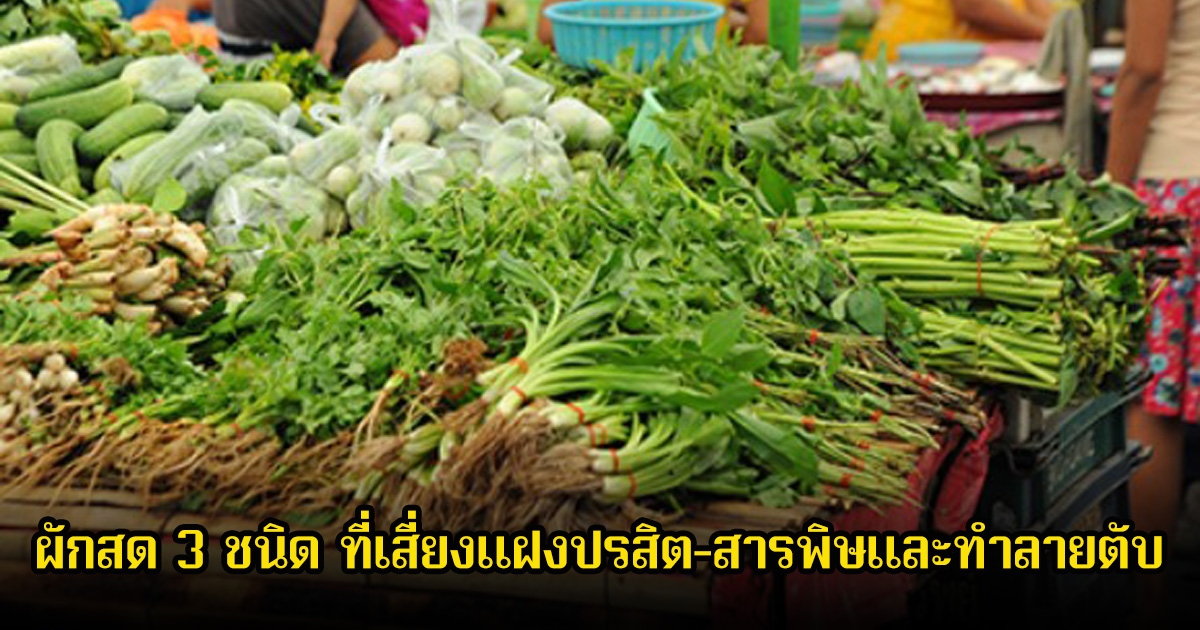 เตือน! ผักสด 3 ชนิด ที่เสี่ยงแฝงปรสิต-สารพิษและทำลายตับ ต่อให้อร่อยหรือมีประโยชน์แค่ไหน ก็อย่ากินมากเกินไป