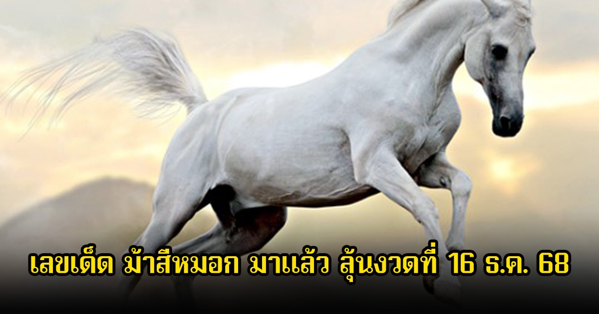 เลขเด็ด ม้าสีหมอก มาแล้ว ลุ้นงวดที่ 16 ธ.ค. 68