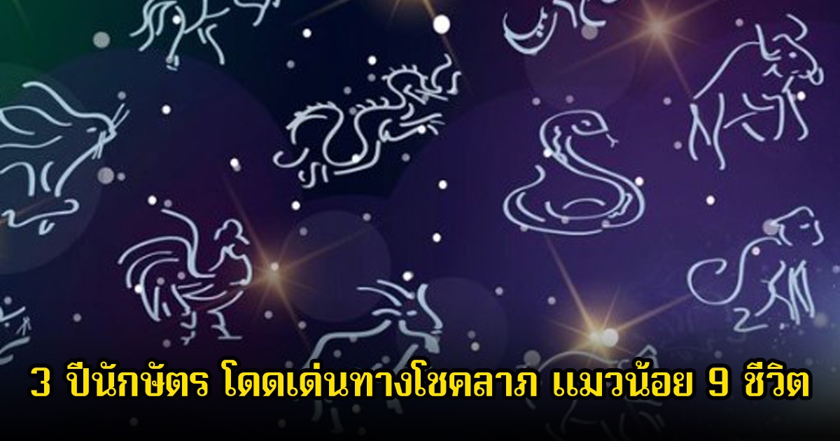 หมอบอย เปิดชะตา 3 ปีนักษัตร โดดเด่นทางโชคลาภ แมวน้อย 9 ชีวิต