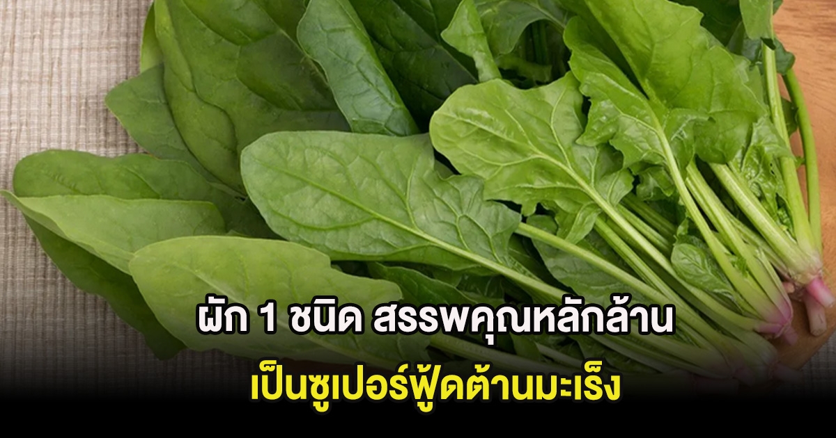 หลายคนมองข้าม ผัก 1 ชนิด สรรพคุณหลักล้าน เป็นซูเปอร์ฟู้ดต้านมะเร็ง