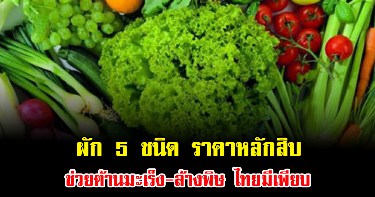 พบแล้ว ผัก 5 ชนิด ราคาหลักสิบ ช่วยต้านมะเร็ง-ล้างพิษ ไทยมีเพียบ