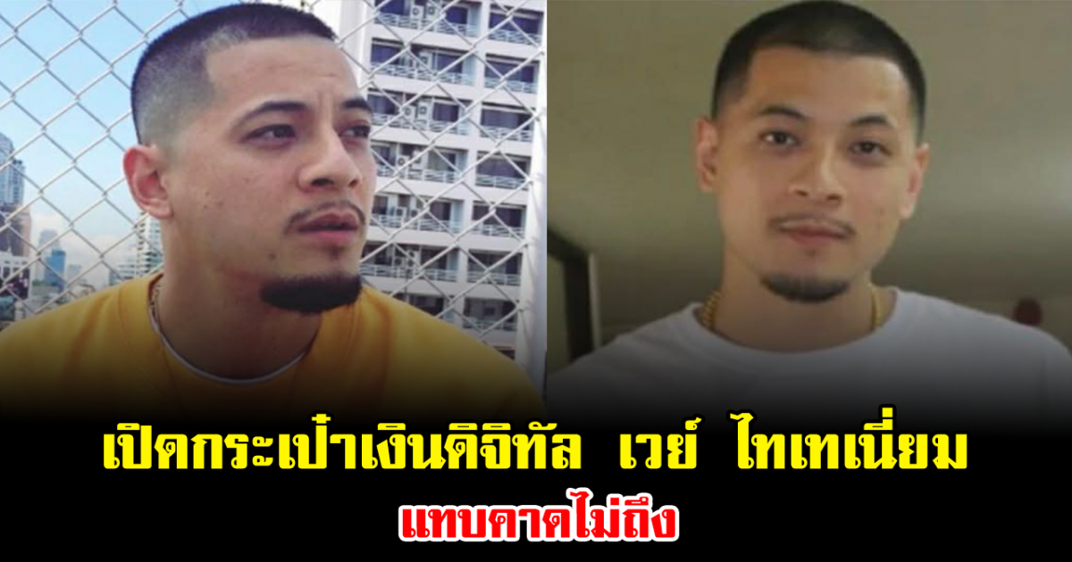 สิ้นสงสัย เปิดกระเป๋าเงินดิจิทัล เวย์ ไทเทเนี่ยม แทบคาดไม่ถึง