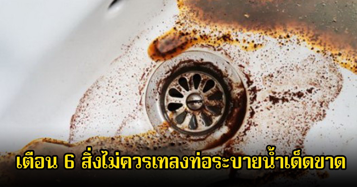 หลายคนทำบ่อย! เตือน 6 สิ่งไม่ควรเทลงท่อระบายน้ำเด็ดขาด ส่งผลกระทบที่ร้ายแรงมาก