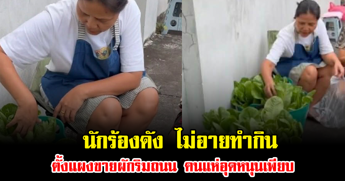 แฟนๆชื่นชม นักร้องดัง ไม่เลือกงาน ไม่อายทำกิน ตั้งแผงขายผักริมถนน คนแห่อุดหนุนเพียบ