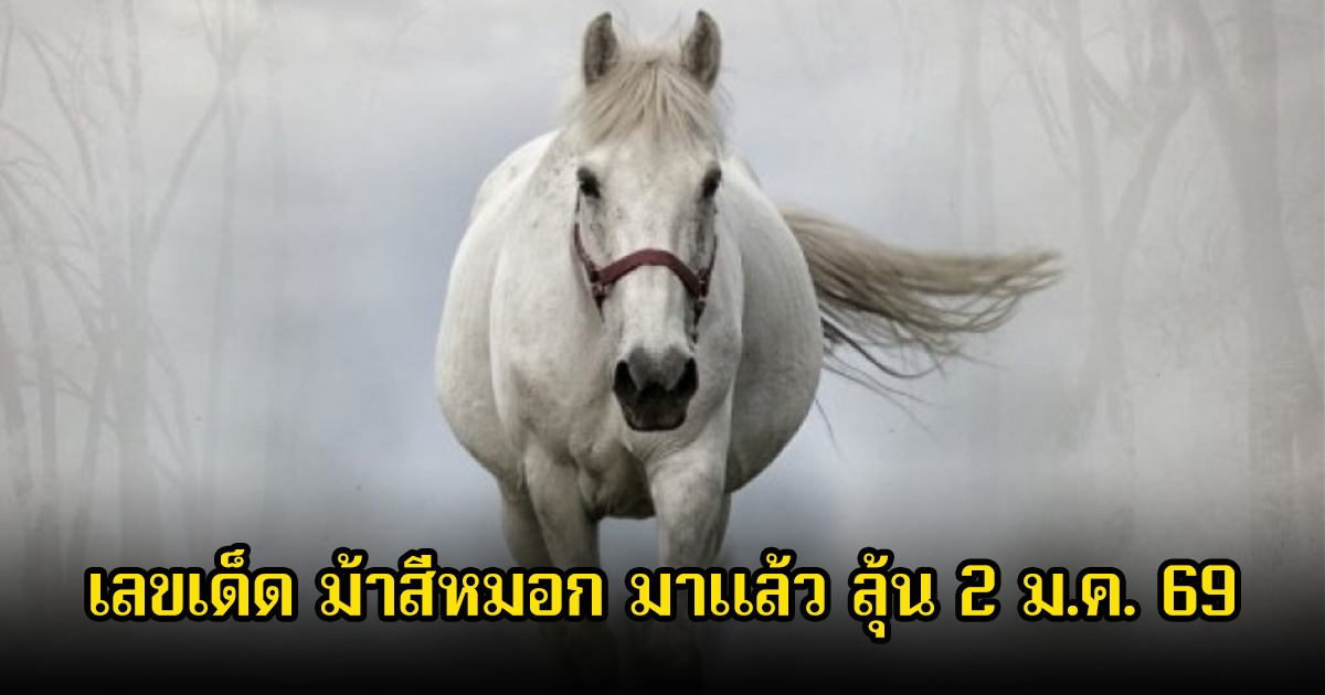 เลขเด็ด ม้าสีหมอก มาแล้ว ลุ้น 2 ม.ค. 69