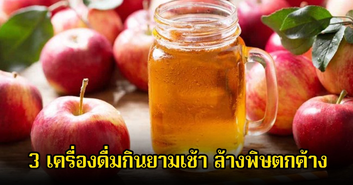 3 เครื่องดื่มกินยามเช้า ล้างพิษตกค้าง ไทยหาง่ายมาก