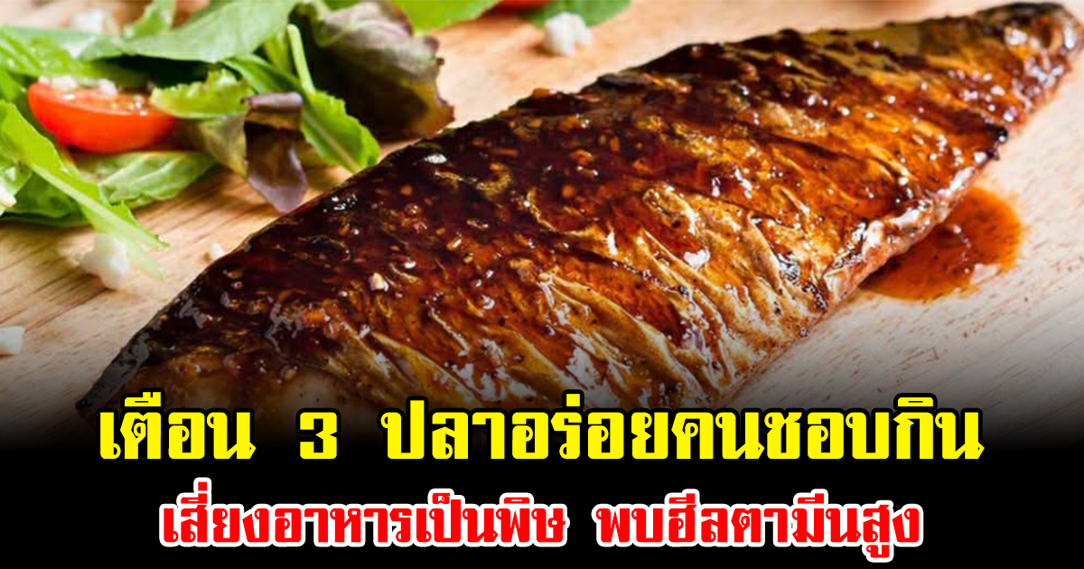 อย่าชะล่าใจ เตือน 3 ปลาอร่อยคนชอบกิน เสี่ยงอาหารเป็นพิษ พบฮีลตามีนสูง