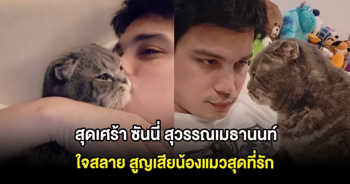 สุดเศร้า ซันนี่ สุวรรณเมธานนท์ ใจสลาย สูญเสียน้องแมวสุดที่รัก