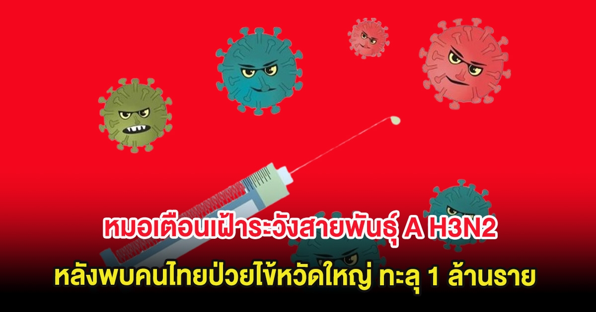 หมอเตือนเฝ้าระวังสายพันธุ์ A H3N2 หลังพบคนไทยป่วยไข้หวัดใหญ่ ทะลุ 1 ล้านราย