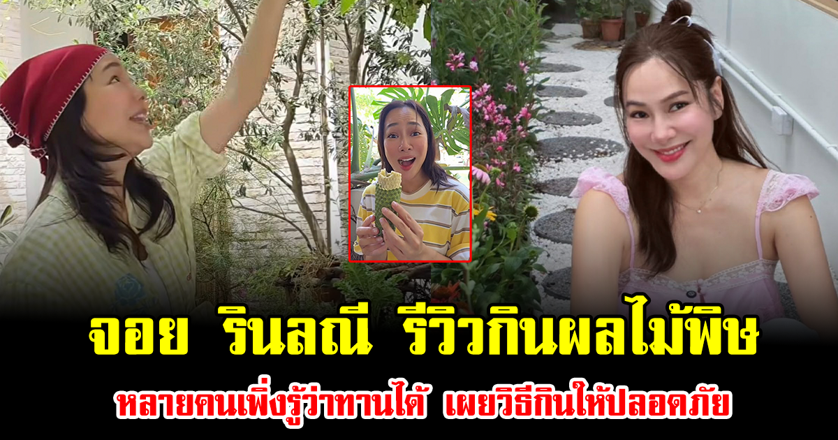 แฟนคลับตกใจทั้งโซเชียล จอย รินลณี รีวิวกินผลไม้พิษ หลายคนเพิ่งรู้ว่าทานได้ เผยวิธีกินให้ปลอดภัย