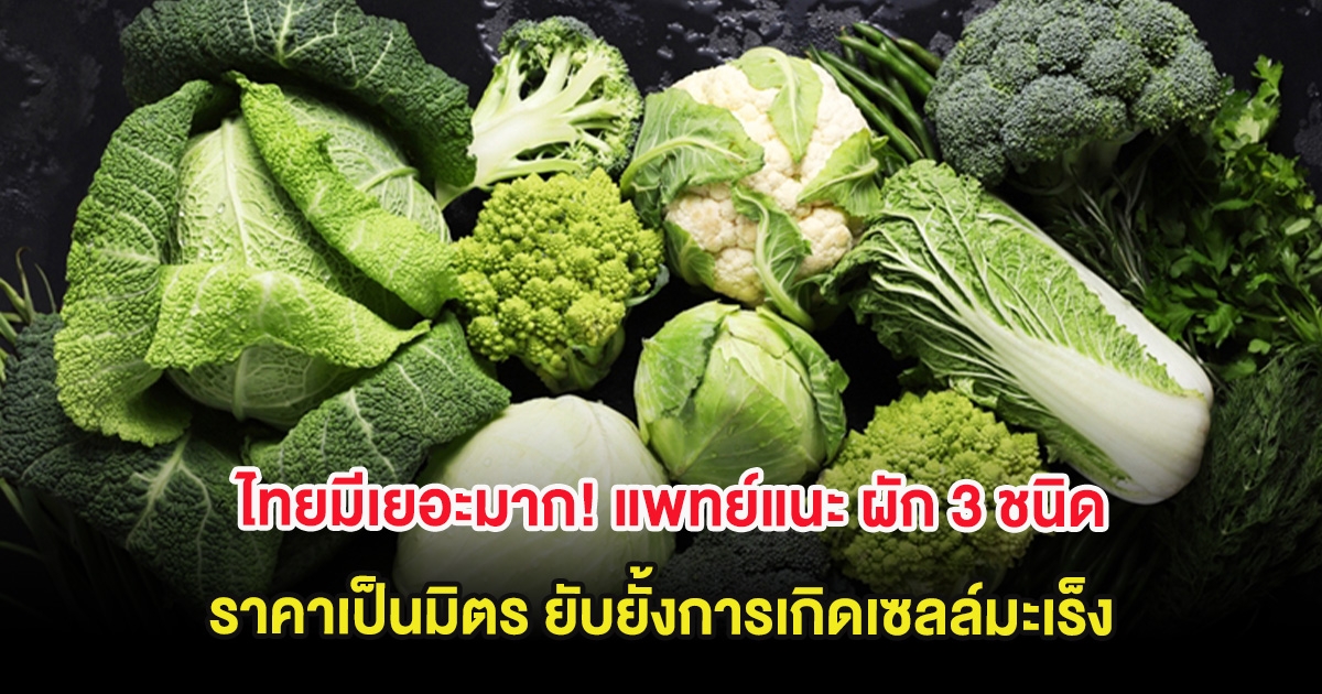 ไทยมีเยอะมาก! แพทย์แนะ ผัก 3 ชนิด ราคาเป็นมิตร ยับยั้งการเกิดเซลล์มะเร็ง