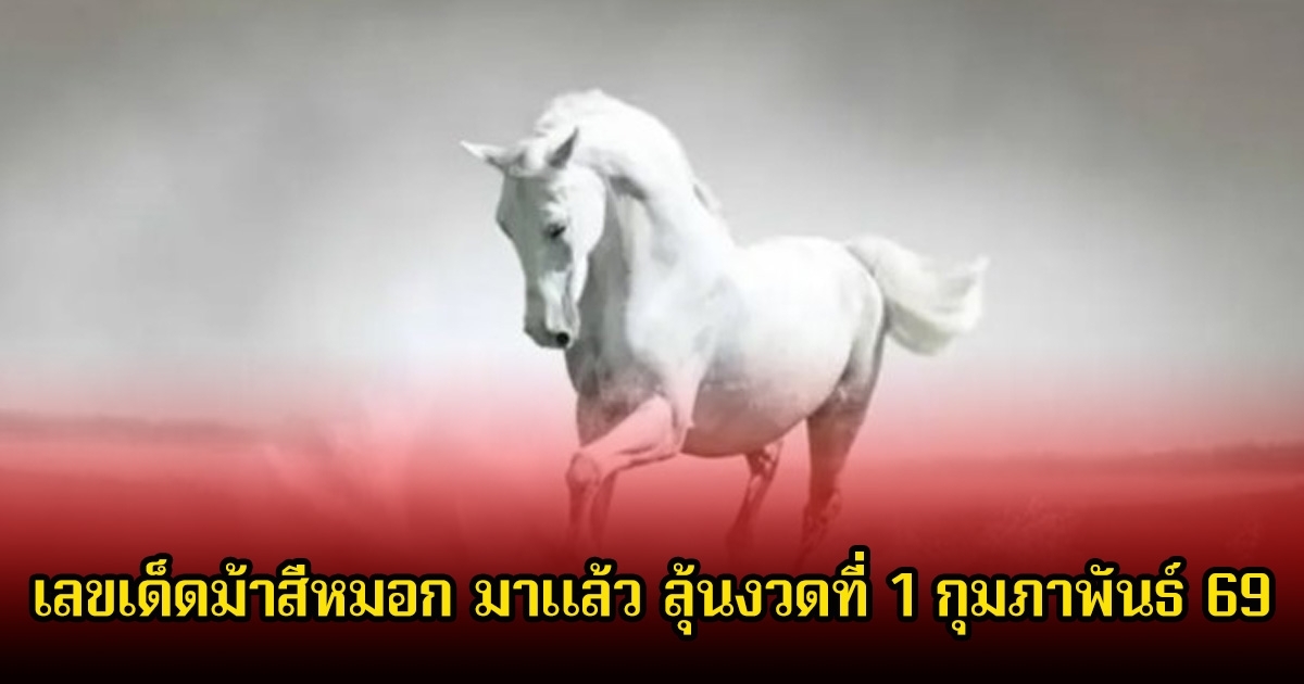 มาแล้ว! เลขเด็ด ม้าสีหมอก มาแล้ว ลุ้นงวดที่ 1 กุมภาพันธ์ 69