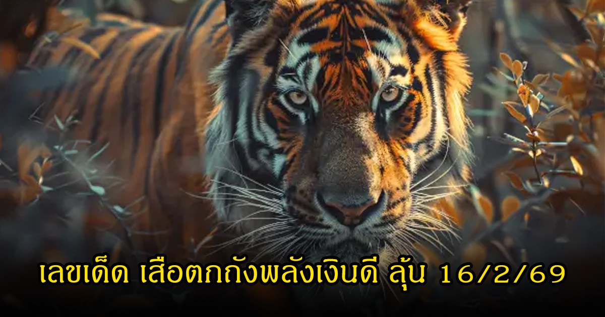 เลขเด็ด เสือตกถังพลังเงินดี หลังงวดที่แล้วเข้าเต็มๆ ลุ้นต่อวันที่ 16 กุมภาพันธ์ 69
