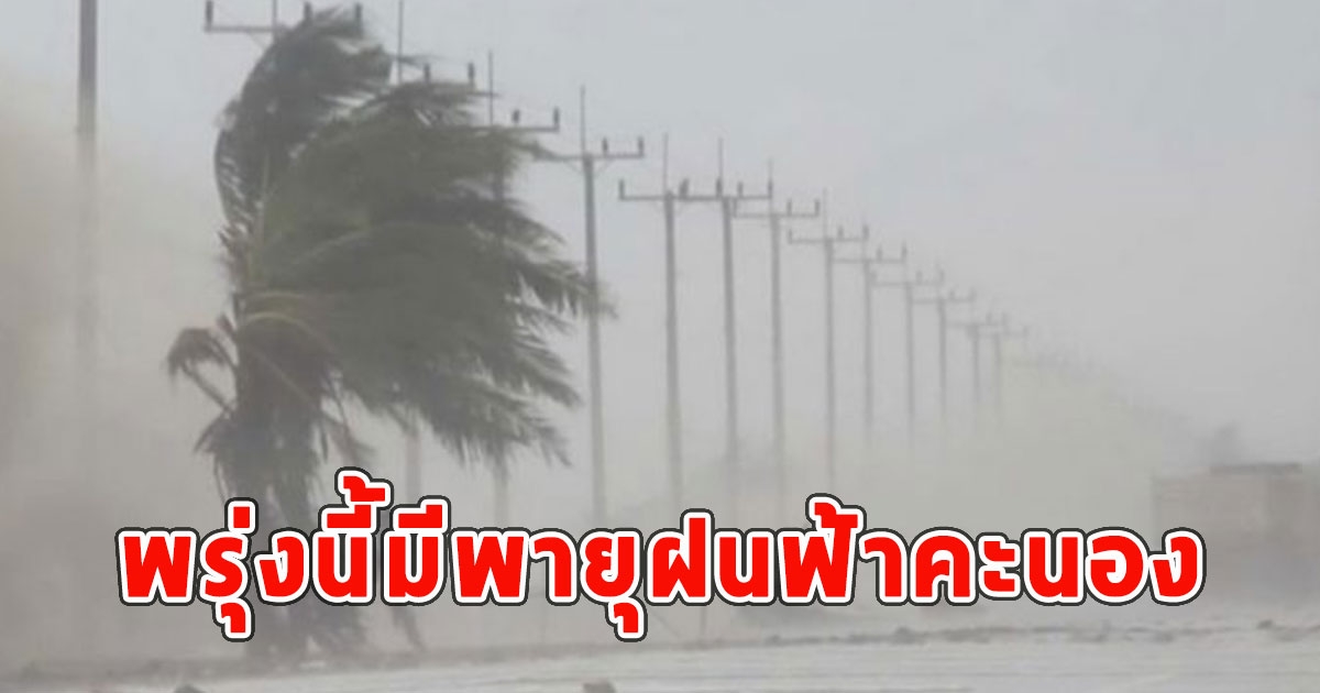 พรุ่งนี้มีพายุฝนฟ้าคะนอง ลมกระโชกแรง และลูกเห็บตก