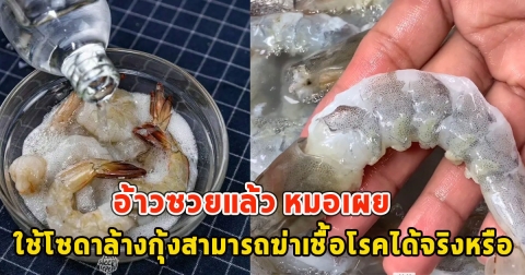 อ้าวซวยแล้ว หมอเผย ใช้โซดาล้างกุ้งสามารถฆ่าเชื้อโรคได้จริงหรือ