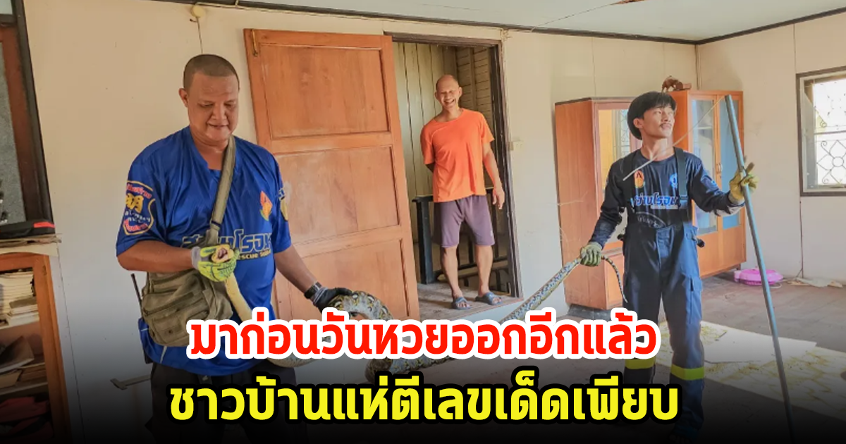 มาอีกแล้ว! งูเหลือมตัวใหญ่บุกบ้าน ปรากฏตัวก่อนวันหวยตัว ชาวบ้านแห่ตีเลขเด็ดเพียบ