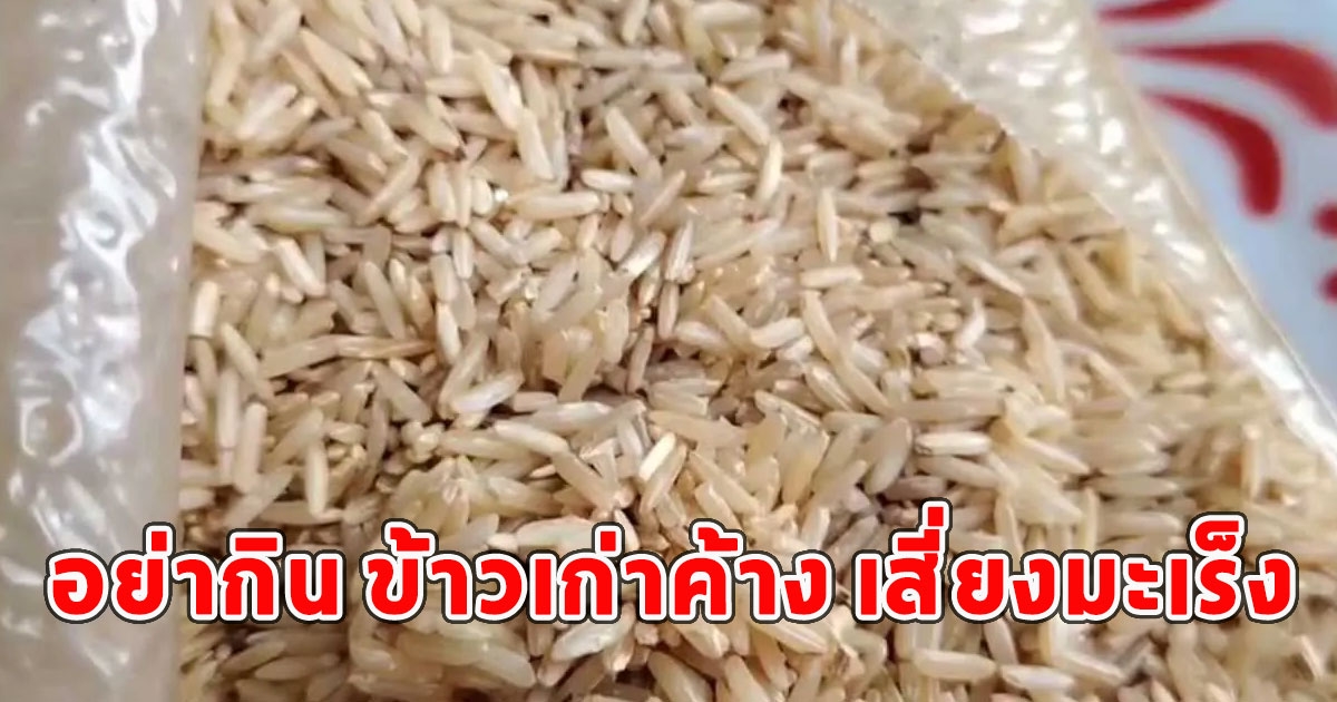 นักวิชาการเตือน อย่ากิน ข้าวเก่าค้าง เสี่ยงมะเร็ง