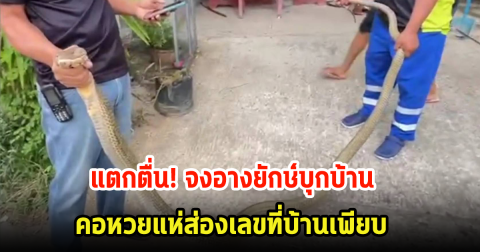 แตกตื่น! จงอางยักษ์บุกบ้าน คาดมากินนก ชาวบ้านแห่ส่องเลขที่บ้านเพียบ ลุ้น 1 มิ.ย. 67