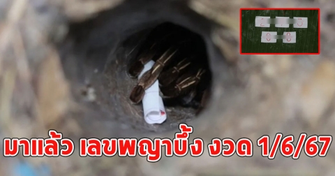 มาแล้ว เลขพญาบึ้ง งวด 1/6/67 ได้เลข 3 ตัว 2 ตัว สมใจ