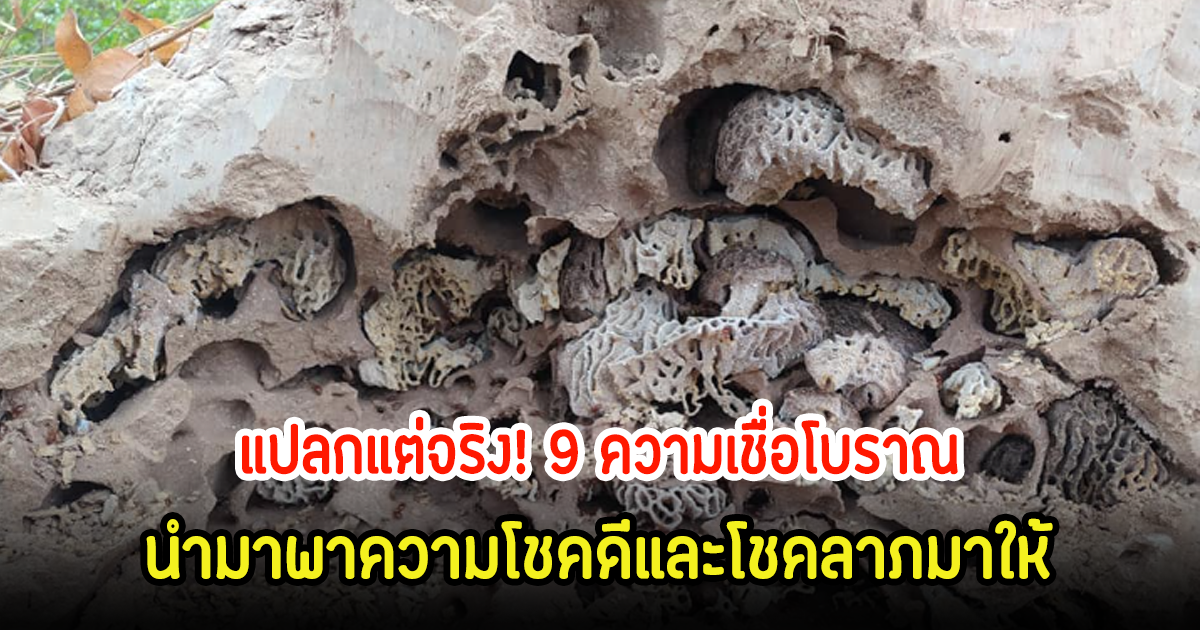 แปลกแต่จริง! 9 ความเชื่อโบราณ ที่นำมาพาความโชคดีและโชคลาภมาให้
