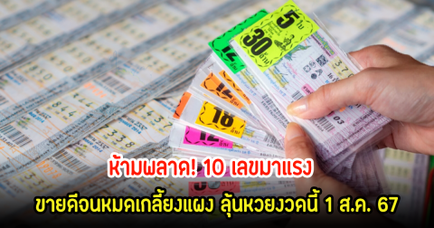 ห้ามพลาด! 10 เลขมาแรง ขายดีจนหมดเกลี้ยงแผง ลุ้นหวยงวดนี้ 1 ส.ค. 67