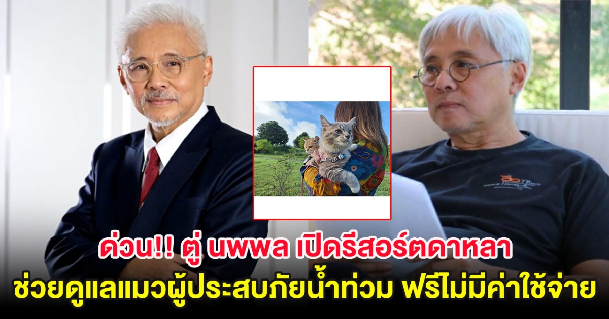 ด่วน!! ตู่ นพพล ผู้กำกับรุ่นใหญ่ เปิดรีสอร์ตดาหลา ช่วยดูแลแมวผู้ประสบภัยน้ำท่วมเชียงราย ฟรีไม่มีค่าใช้จ่าย
