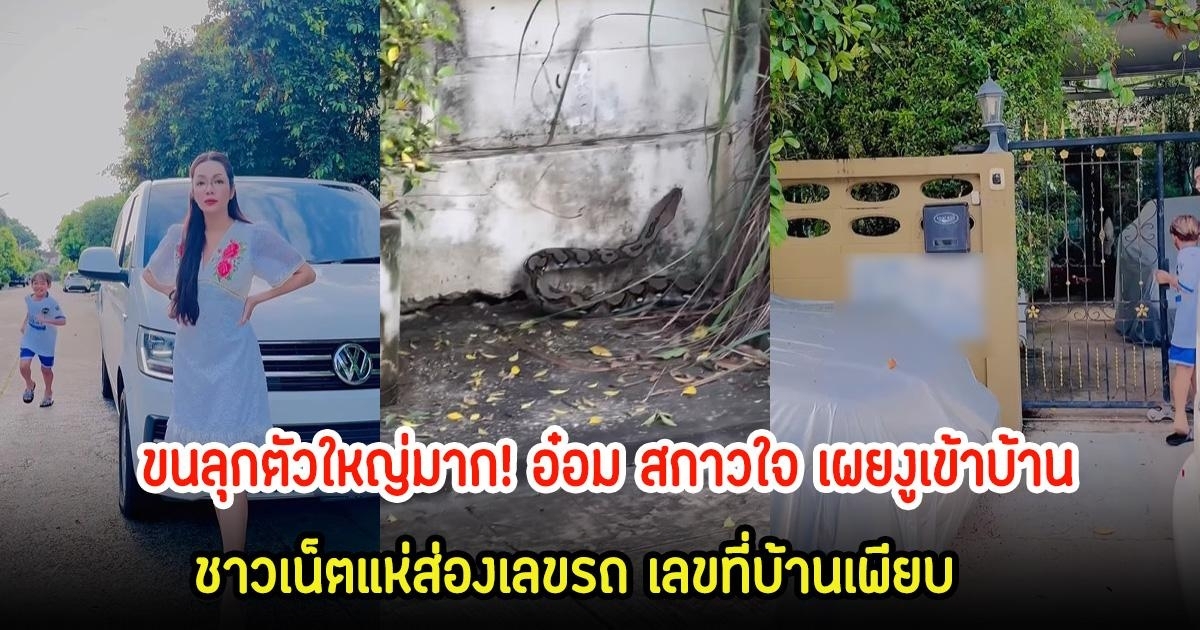 ตัวใหญ่มาก! อ๋อม สกาวใจ เผยงูเข้าบ้าน ส่องเลขรถ-เลขที่บ้าน 16 ก.ย. 67