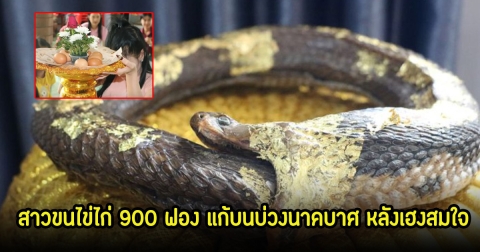 สาวขนไข่ไก่ 900 ฟอง แก้บนบ่วงนาคบาศ หลังเฮงสมใจ