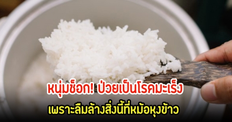 หนุ่มช็อก! ป่วยเป็นโรคมะเร็งไม่รู้ตัว หมอชี้เชื้อมาจากหม้อหุงข้าว บอกเลยพลาดแทบทุกบ้าน