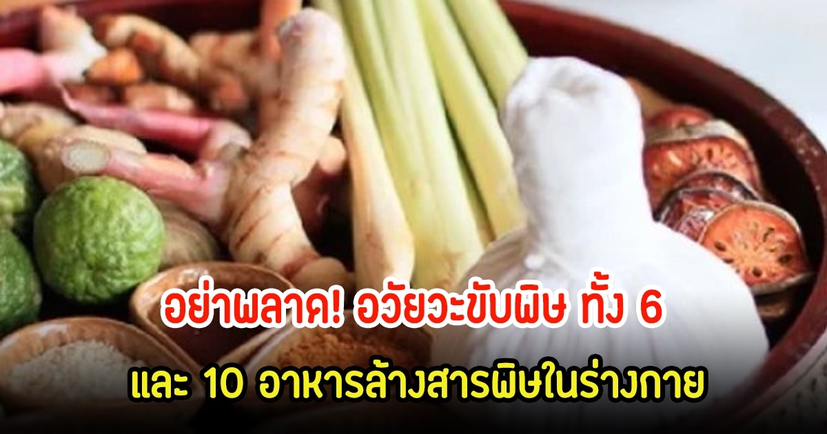 อวัยวะขับพิษ ทั้ง 6 และ 10 อาหารล้างสารพิษในร่างกาย