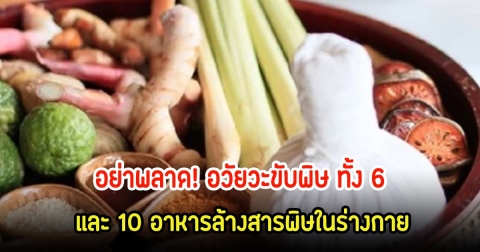 อวัยวะขับพิษ ทั้ง 6 และ 10 อาหารล้างสารพิษในร่างกาย