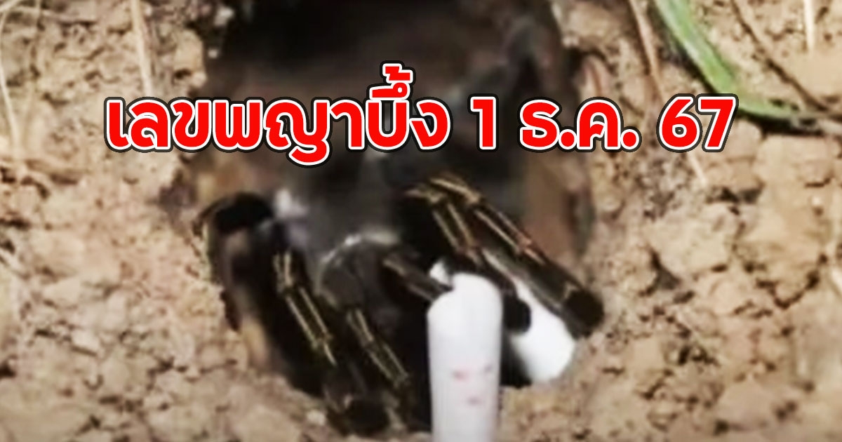 เลขพญาบึ้ง 1 ธ.ค. 67