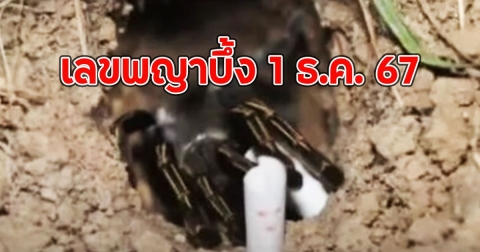 เลขพญาบึ้ง 1 ธ.ค. 67