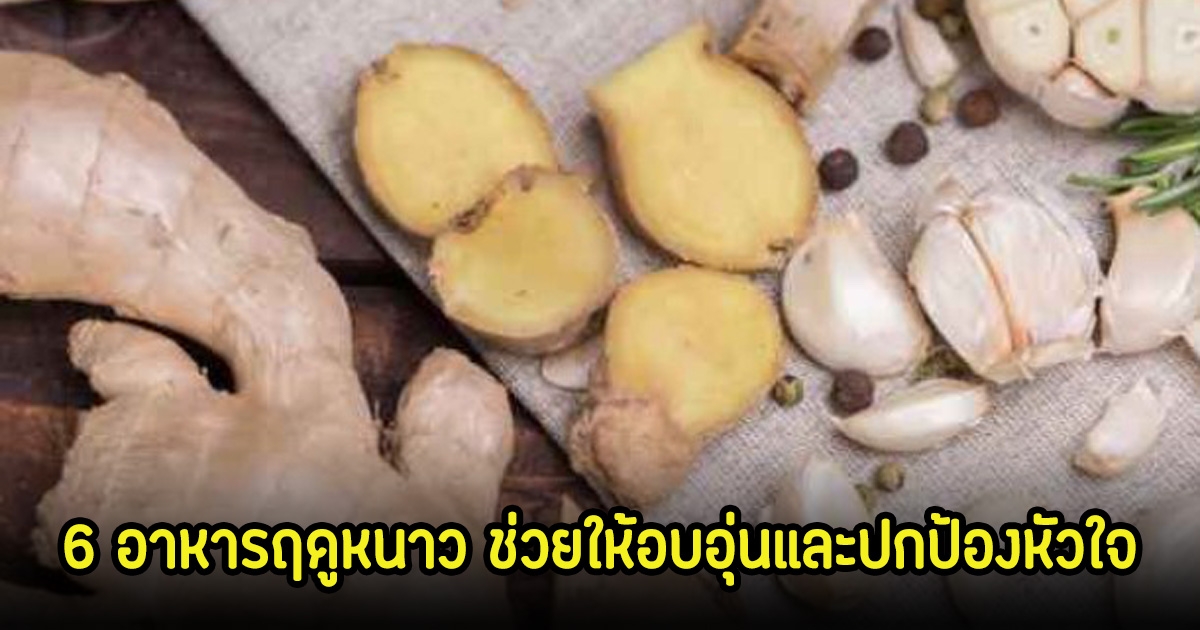 กูรูแนะนำ 6 อาหารฤดูหนาว ช่วยให้อบอุ่นและปกป้องหัวใจ ไทยมีครบทุกอย่าง