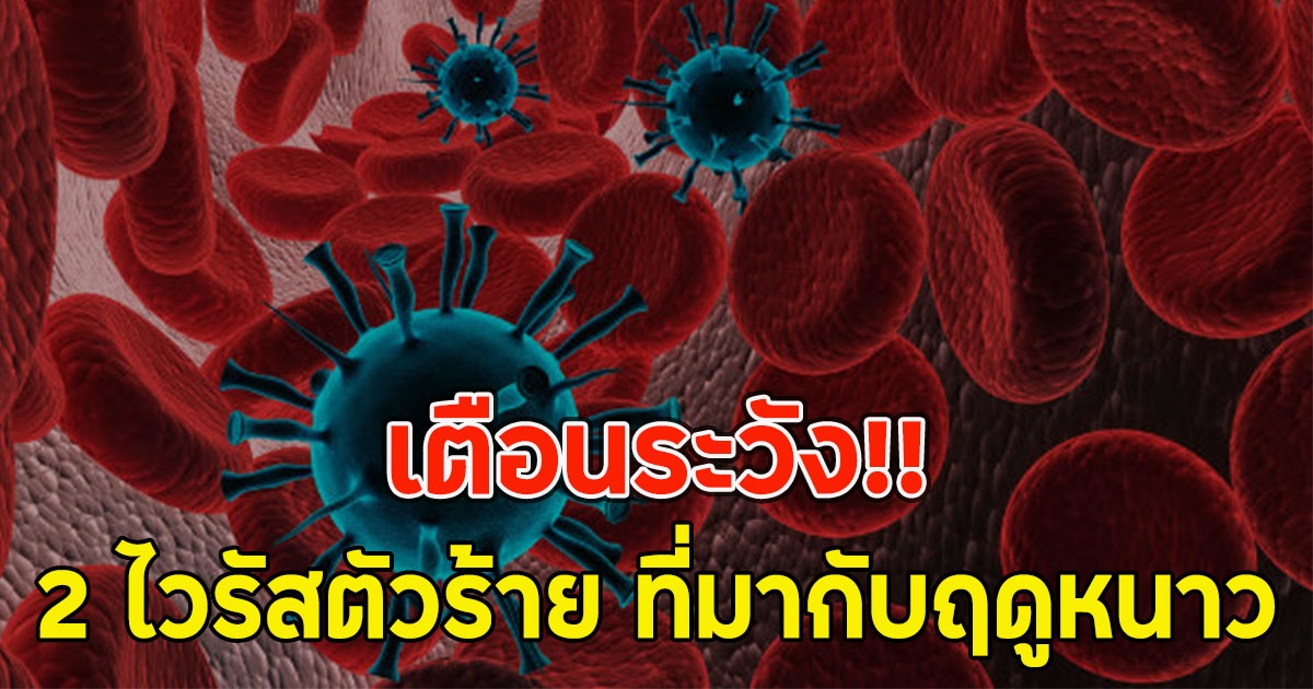 เตือนระวัง!! 2 ไวรัสตัวร้าย ที่มากับฤดูหนาว