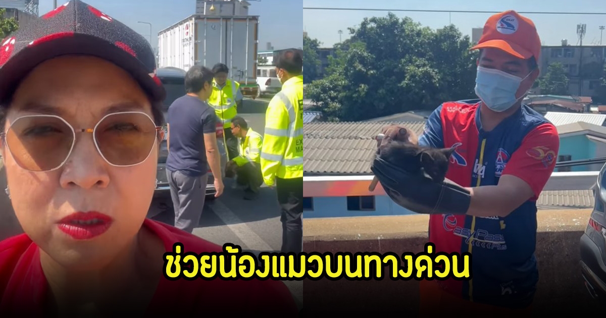 ท็อป ดารณีนุช เผยคลิปเหตุไม่คาดฝัน เจ้าหน้าที่ทางด่วนช่วยน้องแมวเต็มที่ แฟนๆต่างปรบมือให้เพียบ