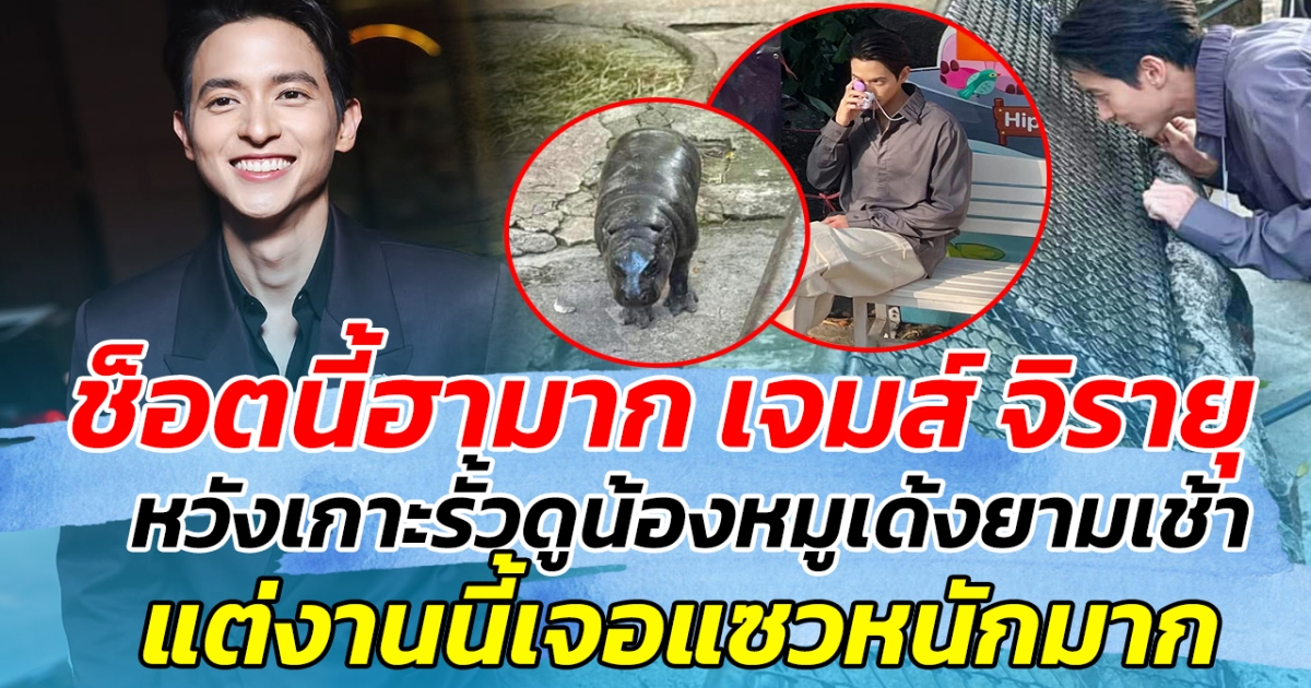 ช็อตนี้ฮามาก เจมส์ จิรายุ หวังเกาะรั้วดูน้องหมูเด้งยามเช้า แต่งานนี้เจอแซวหนักมาก