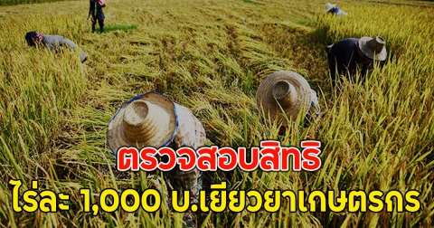 ตรวจสอบสิทธิ ไร่ละ 1,000 บ.เยียวยาเกษตรกร