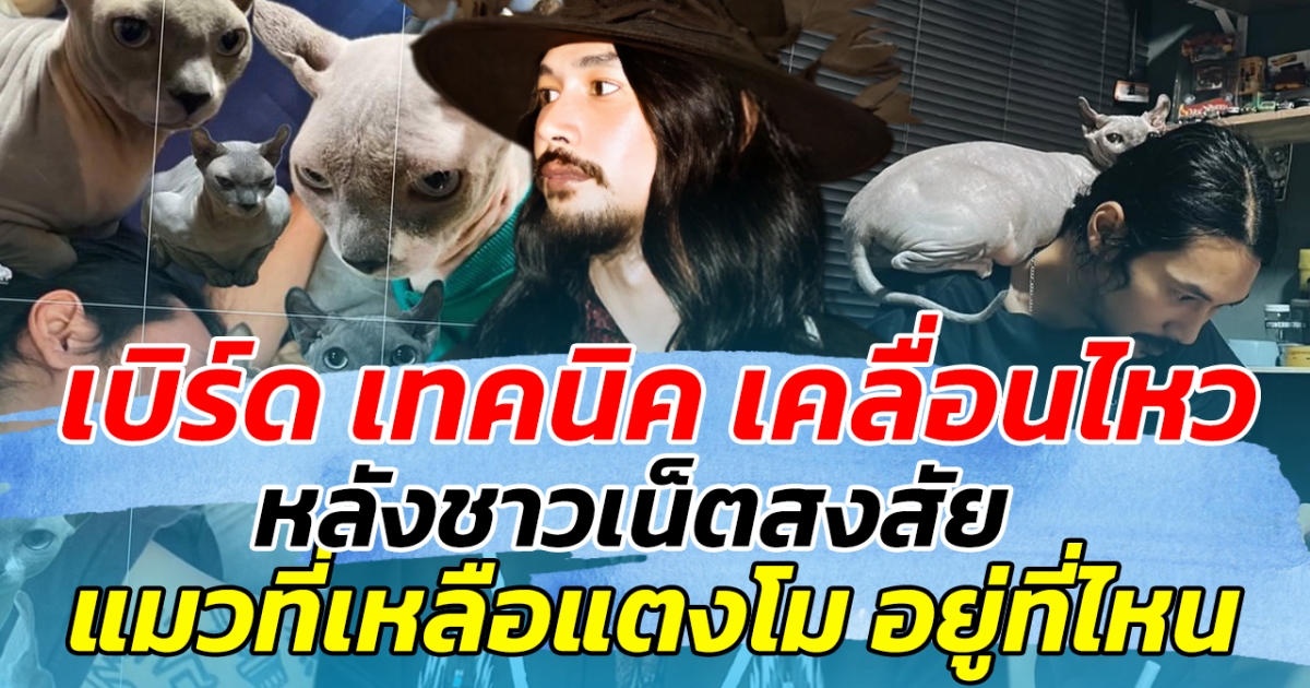 เบิร์ด เทคนิค เคลื่อนไหว หลังชาวเน็ตสงสัย แมวที่เหลือของ แตงโม อยู่ที่ไหนกันแน่