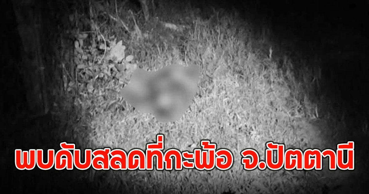 พบชายวัย 27 นอนเสียชีวิตสลดที่กะพ้อ จ.ปัตตานี