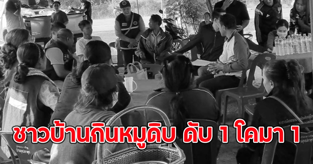 ชาวบ้านกินหมูดิบงานบุญ และปีใหม่ดับ 1 โคมา 1