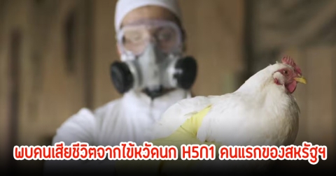 ปลัดกระทรวงสาธารณสุข เผยพบผู้เสียชีวิตจากไข้หวัดนก H5N1 รายแรกของสหรัฐฯ ส่วนไทยเฝ้าระวัง