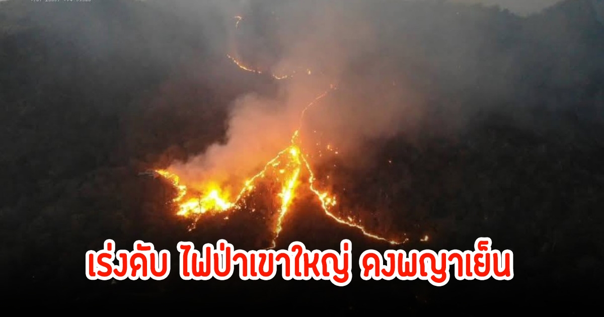 เร่งดับไฟไหม้ป่าเขาใหญ่ ดงพญาเย็น คาดสาเหตุ จุดไฟล่าสัตว์