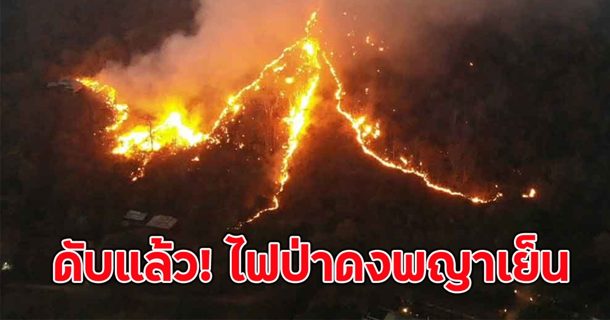 ดับแล้ว! ไฟป่าดงพญาเย็น หลังไหม้ 8 วัน