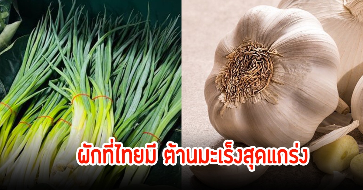 หมอเผย ผักต้านมะเร็ง อยู่ในครัวทุกบ้าน คนไทยใช้ปรุงอาหารบ่อย