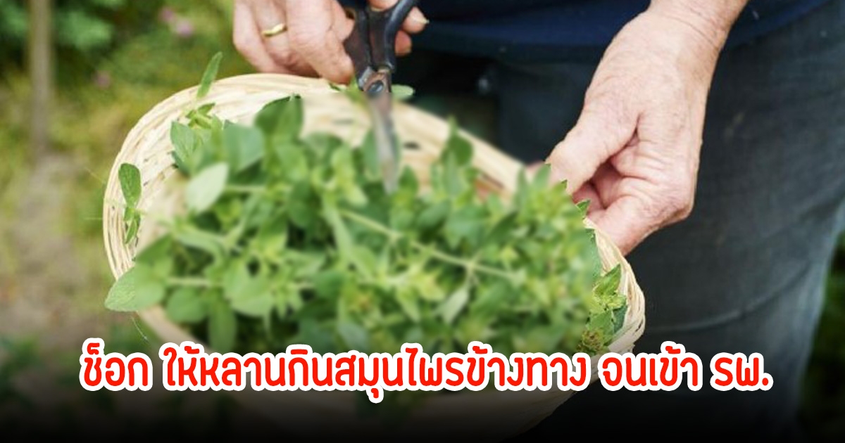 แม่ช็อก! ลูกวัย9ขวบ เข้าห้องICUอาการโคม่า รู้สาเหตุใจสลาย ย่าต้มสมุนไพรข้างทางให้กิน