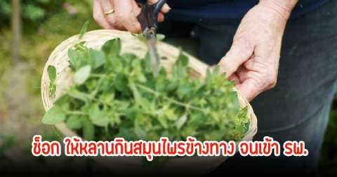 แม่ช็อก! ลูกวัย9ขวบ เข้าห้องICUอาการโคม่า รู้สาเหตุใจสลาย ย่าต้มสมุนไพรข้างทางให้กิน