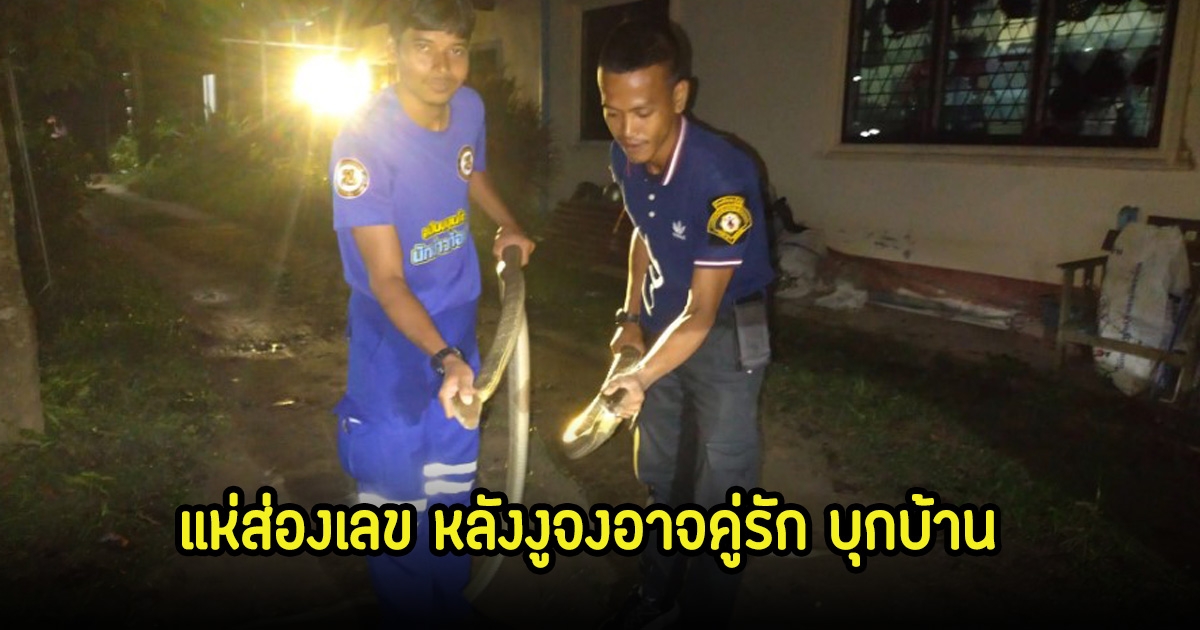 แห่ส่องเลข งูจงอางคู่รักบุก พบบ้านเลขที่ตรงกัน กับบ้านที่งูเข้าก่อนหน้านั้น ลุ้น 17 ม.ค. 68