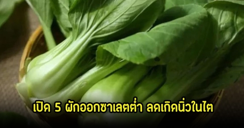 ไทยมีหมด! เปิด 5 ผักออกซาเลตต่ำ ลดเกิดนิ่วในไต เพิ่มการดูดซึมแคลเซียม